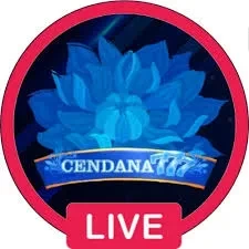 Aplikasi cendana777 Resmi dan Terpercaya di Android dan rsnvip6: Rangkuman Brand yang Banyak Dicari